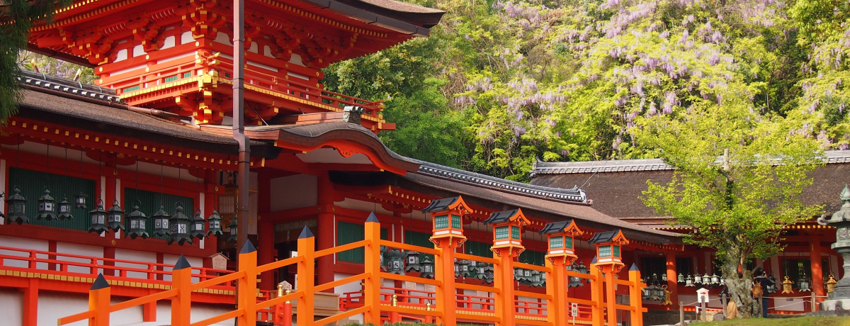 V΂ƓޗǁutЁv͓ʎQq߁I