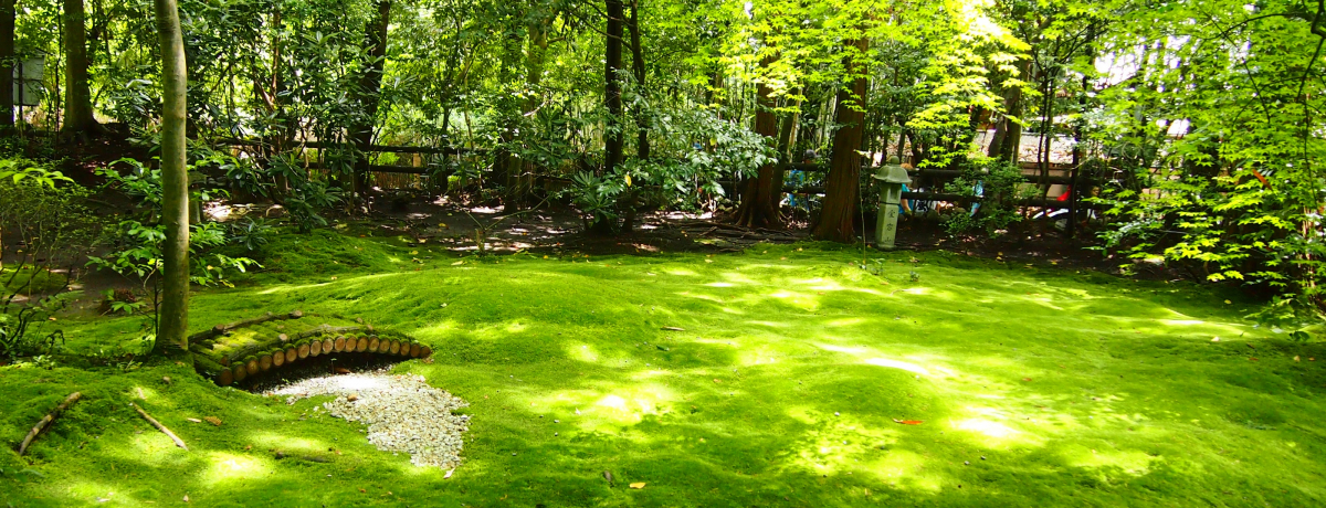 ܂ŗ΂̂イIsEu{_Ёvے