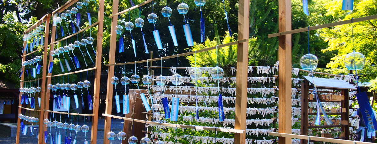 ���C�g�A�b�v���I���{���{���u�������_�{�v�����ƕ���̗��i�F