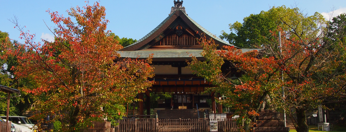 }Ƃ̒mꂴ邲IsREVg_{