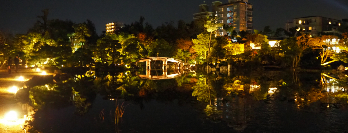 ���h���z�Ɩ��뉀�̃��C�g�A�b�v�͕K���I���s�w�߂��u�����v