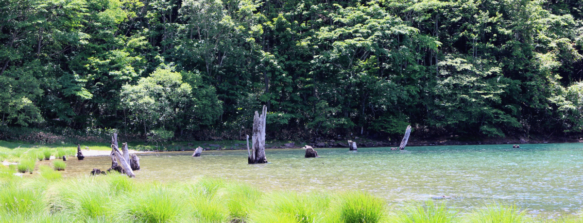 o̂YꂻIQnEN_IȁuۏvɊ