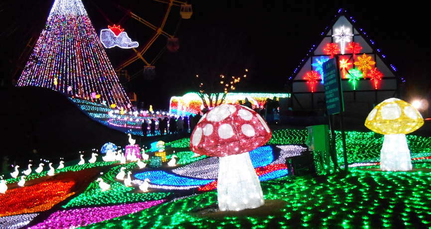 ͂ƃoXōsIoCLOƂ聕hCcC~l[VAcA[