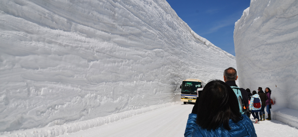 RAy[gȗJtFXeBovő唗͂̐ǂ̊Ȉty