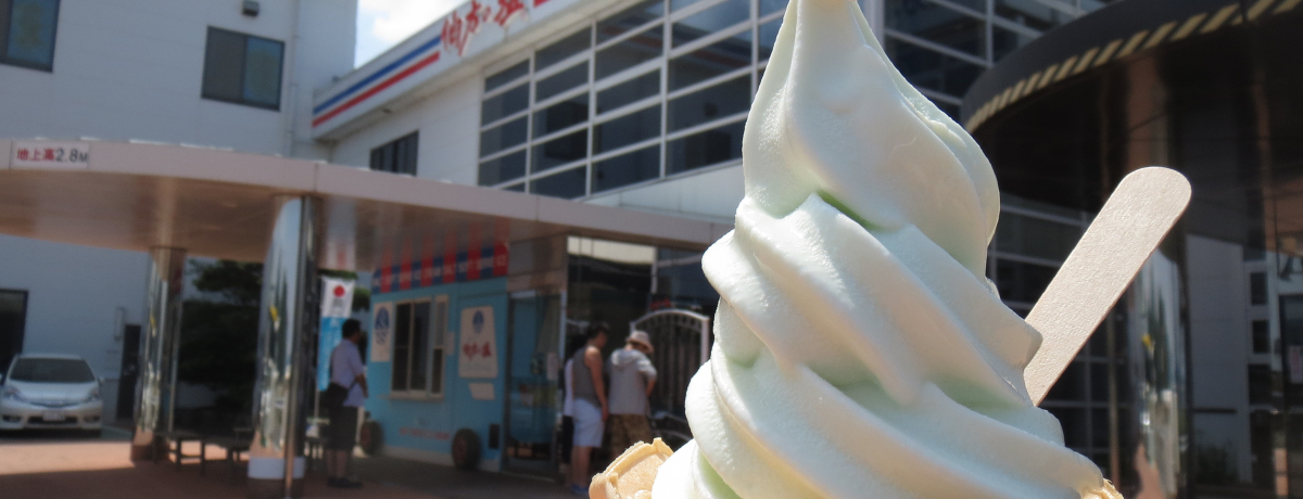 R}[VłLI܂Ȃ݊CủvHꌩw