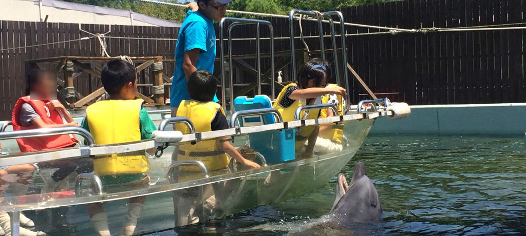 RɐفH̒nŃCJɃ^b`IuVفv