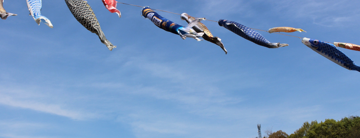 ���쌧�Ŗ����̃X�|�b�g���`�����I���ʂ��s�u����̋��v