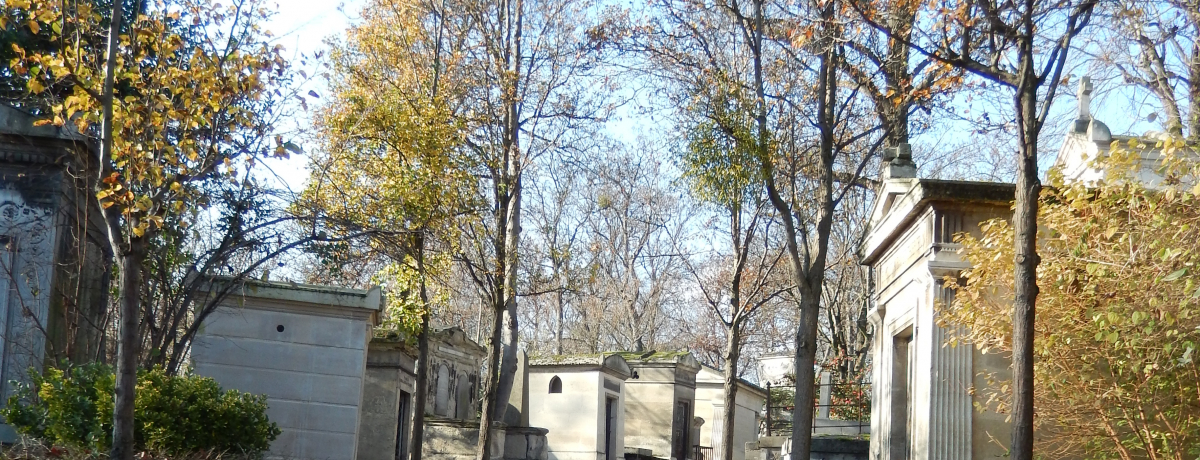 �܂�Ŗ��H�I�p���u�y�[���E���V�F�[�Y��n�v�ŃV���p����s�A�t�̂����T���Ă݂悤