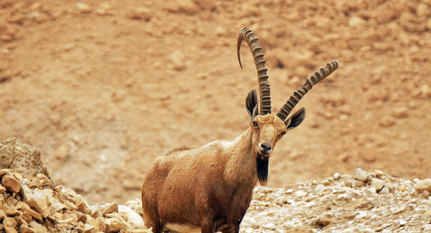 ̑nICXGEV̋vǈՃ}T_I