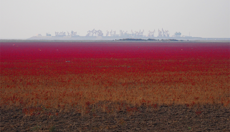 ɔJȂ̐iubhr[`v^Ԃȑnɖ쒹ƊII