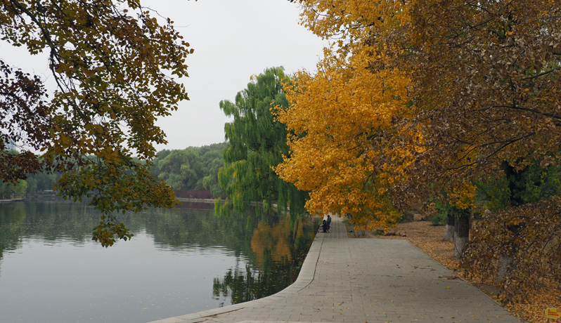 �����ɔJ�ȁE�c�z�ό��ōs�������I�x�X�g�X�|�b�g�T�I