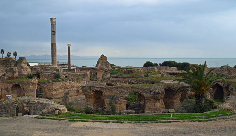 �`���j�W�A�ŕK���I�Ñ��Ղ̃J���^�S�Ɣ��ǐ��̃V�e�B�u�T�C�h������I