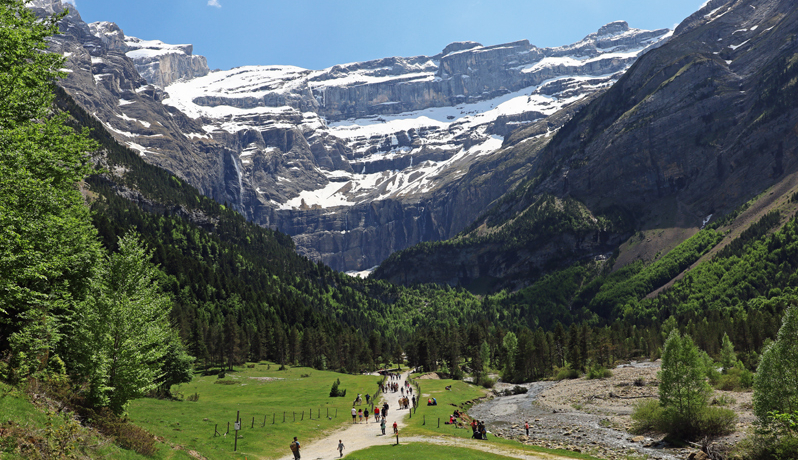 �s���l�[�R���̈��|�I�Ȍi�ρu�K���@���j�[���J�v��������I