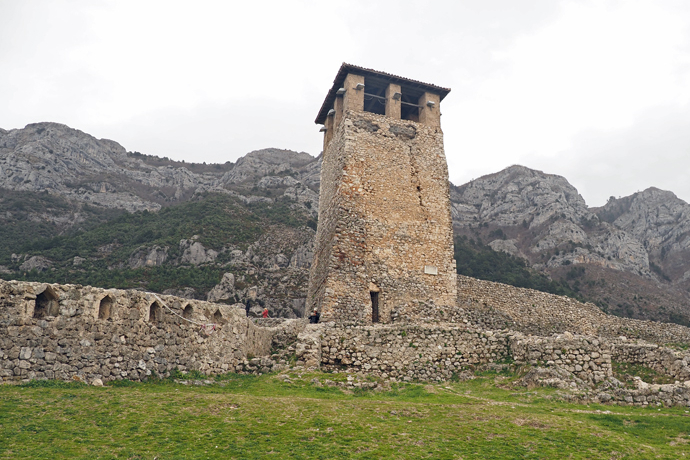 ���j�I�Ï�ƃo�U�[�������͂̒��A�A���o�j�A�̃N������������I