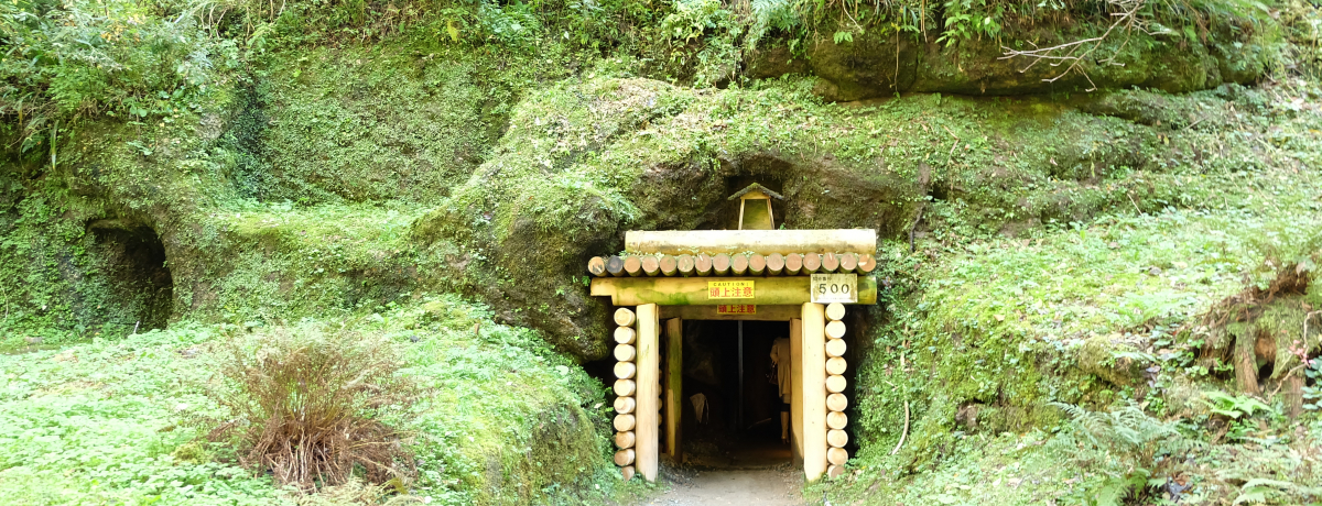 EYuΌRv悭ɎU􂵂悤I