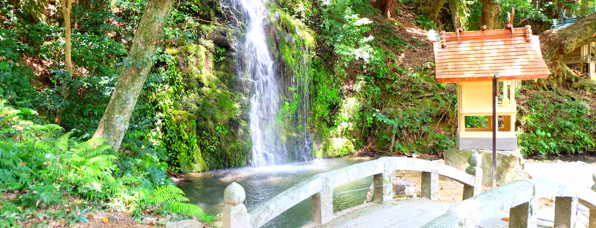 �o�_��Ђ̂����P�̌����I�k�������ق̑�Ɩ���Ђ͐Î�Ȍ���X�|�b�g