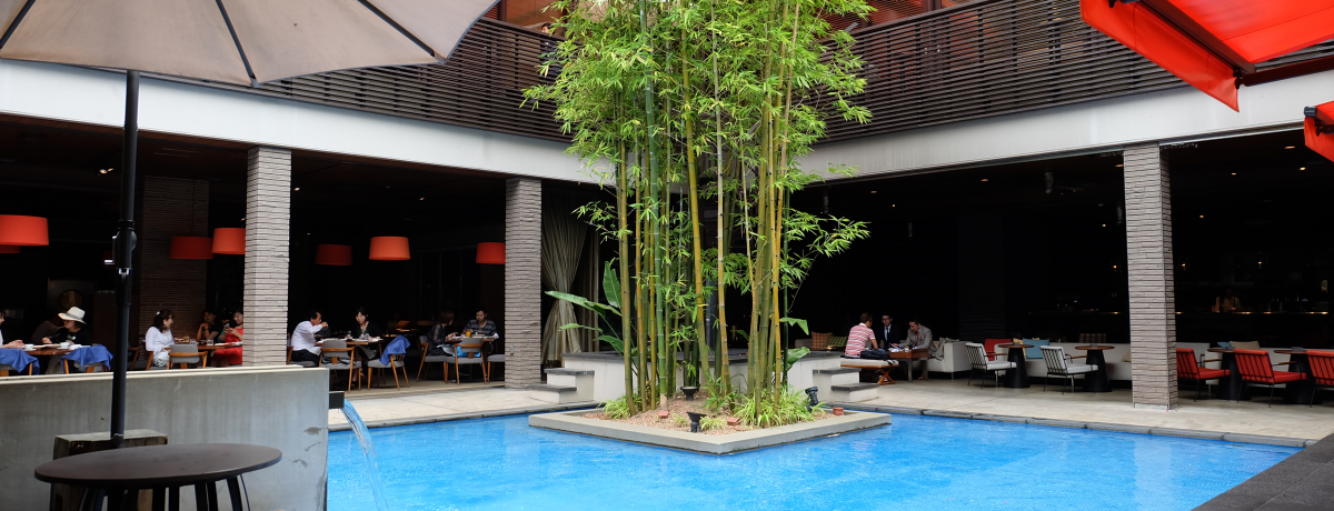 uEBY U X^Cvŉ߂ɏ̔ԁI