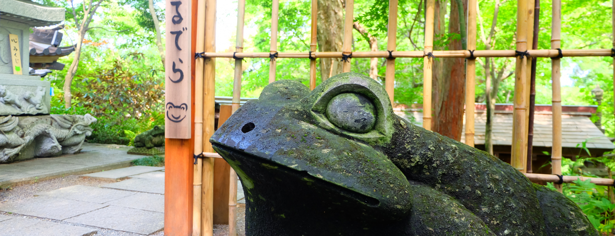 p[yIES̒ʏ́u鎛v̔@ӗ֎͂܂ɂV