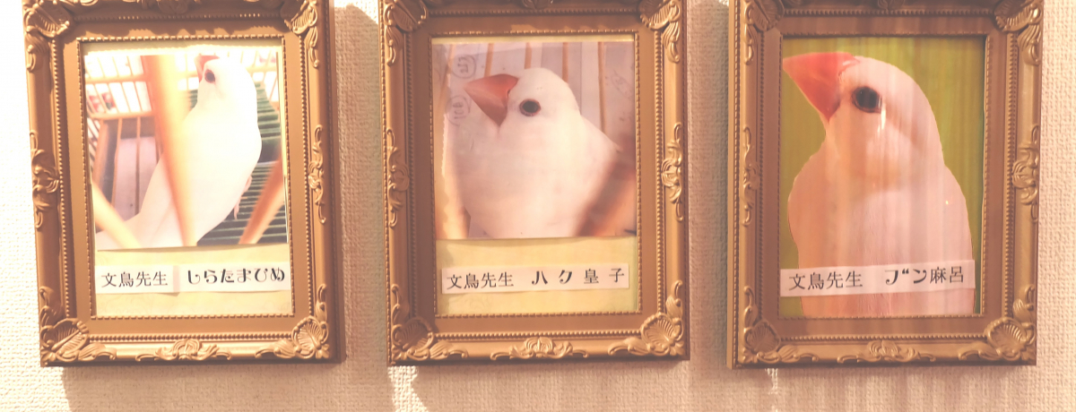 񋳂ă`[IÉE{XXu肢v͂H