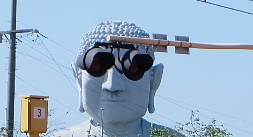 ő勉̑傫ɃTOXΐFcLȈm̑啧͕KI