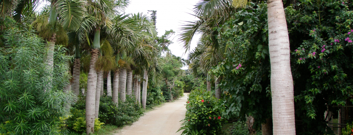 ���\����������ցI�R�z���͈��M�ѐA���̃p���_�C�X��