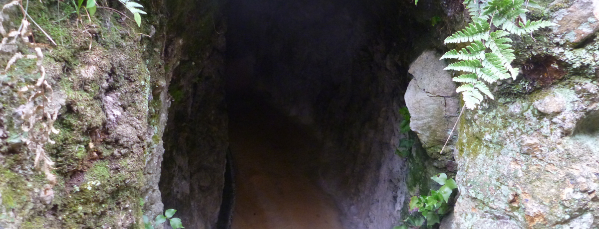 sȃXP[IF{|luyv{wS32̑哴AC!!