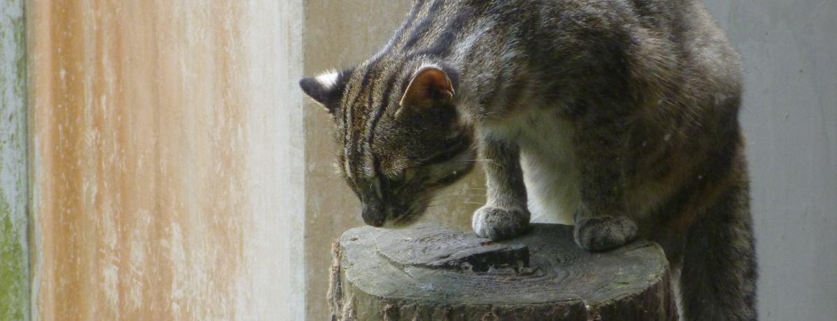 茧ΔnɐŊ뜜IcV}}lRɉɍs!!