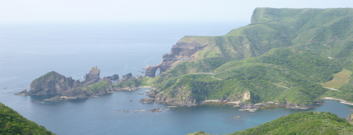 EWIp[NEB򏔓@Ɠ̐An̐藧闷