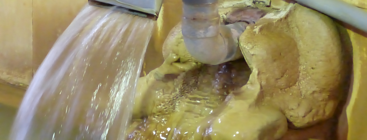 ���ʖL�x!�Z�������h�o�h�o���������̐X���u�S�򉷐�v