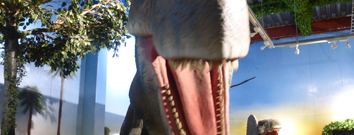 iIXg _ސEasuË_Ci\[v