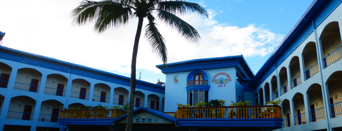 �p���I����̃v�[�����I�u�A�C���C�E�E�H�[�^�[�E�p���_�C�X�E�z�e�����X�p�v