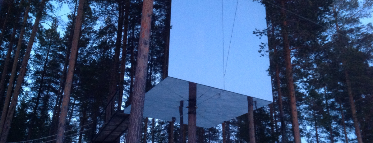 ꐶɈx͔܂Ă݂IXEF[f̃c[ze