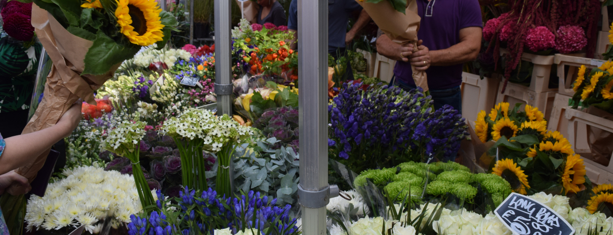 h̉͂ŁIRrAE[hEt[E}[Pbg