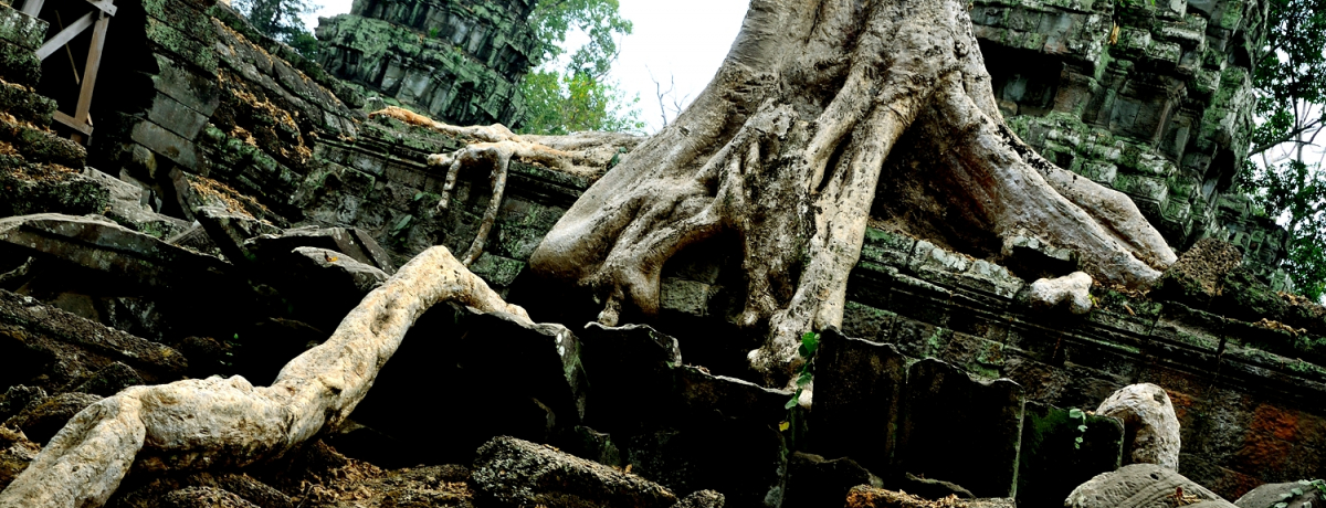 ̓s^HAR[EbgՌQ̃^Ev[iJ{WAj́AWut@K̈ՁI