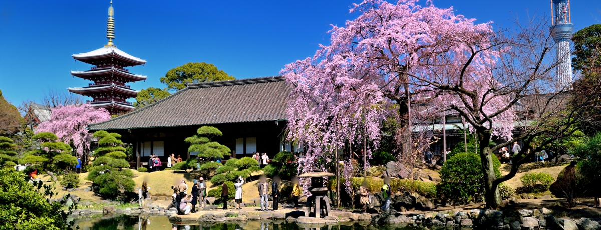 V2{̃h}[Nƍ̋I󑐎E`@@뉀̍yI