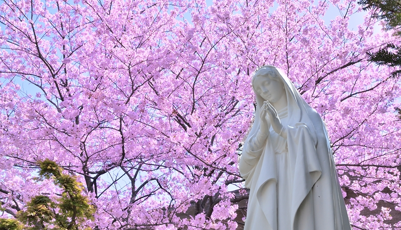 ���l�R��͍��̖����ł��������I���l���w�̂������X�|�b�g�ō�������y�������I