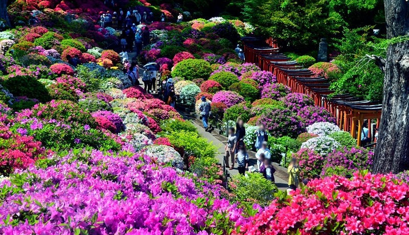 FN₩ȃccWIEÐ_Ёu܂vɍsI