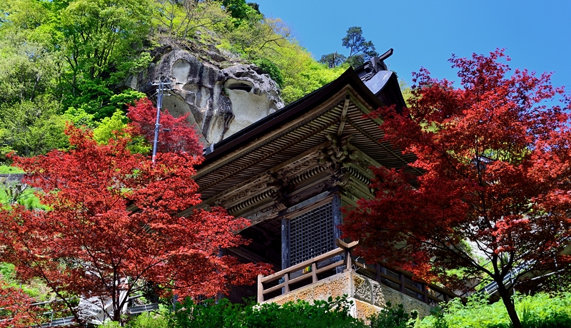 tgtHR`ERiΎjŏmԂ䂩̖ƐV΂yI