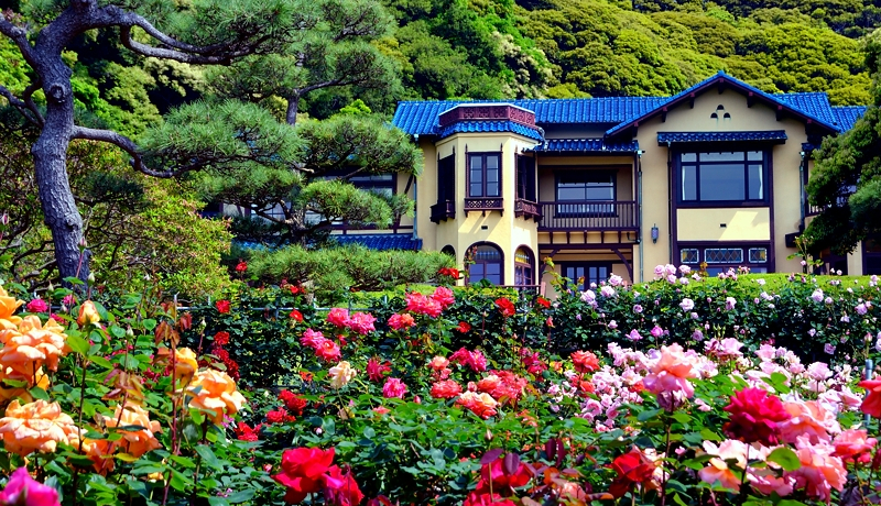 ���q����́g�o���̖����h�I�u���q���w�فv�́g�o���܂�h�������I