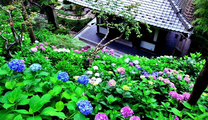 ���q�̊X�~�Ó�̊C�~���������̋����I���J���͊��q���\���邠�������̖���