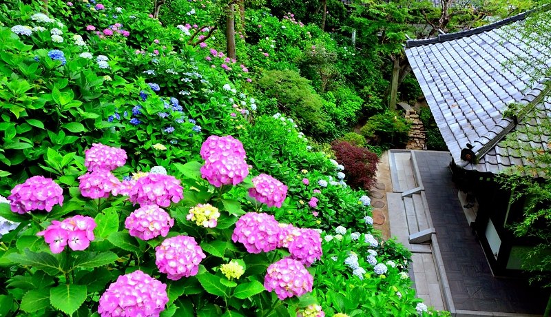 ���������̖����Ƃ����Ί��q�I�I�X�X�����������X�|�b�g�T�I