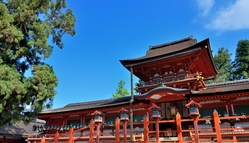 ޗǂ̐EYutЁvOKChIVnlu]v䂩̒ޓĂKI