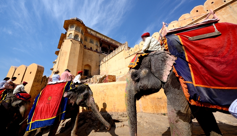 ChEWCv[̐EYAx[Iۃ^NV[ykChẘόI