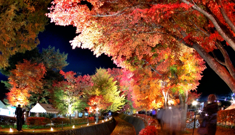 �g�t���C�g�A�b�v������������I�x�m�͌��΂��݂���L�ŏH�𖞋i���悤�I