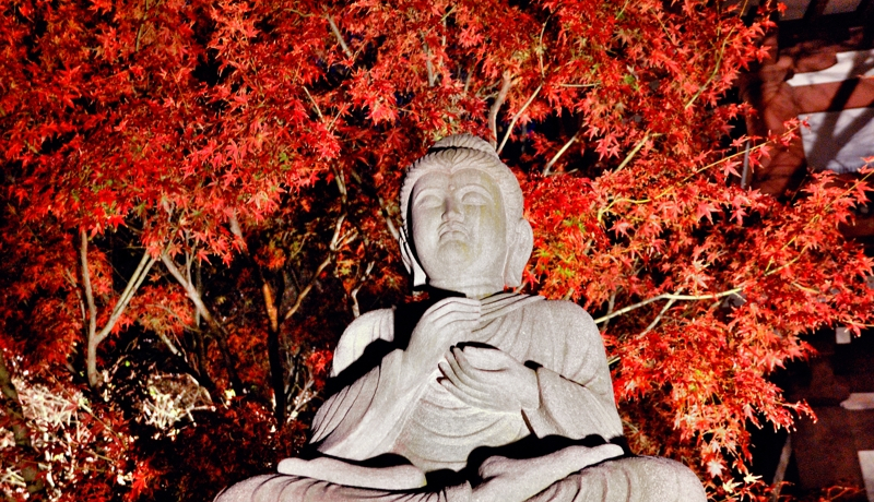 q̖̖IJ̍gtCgAbv͈|IȌzEI