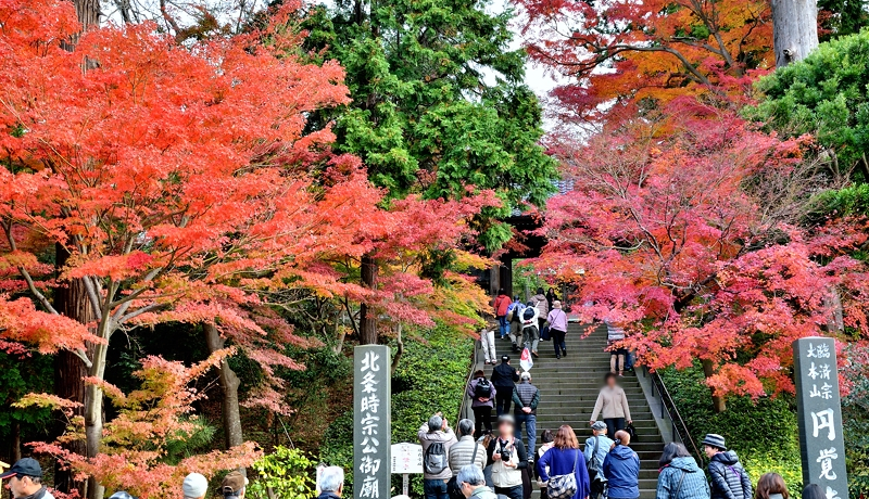 �������Ós�̏H�I���q�܎R���ʂ̉~�o���͍g�t�̖����������I