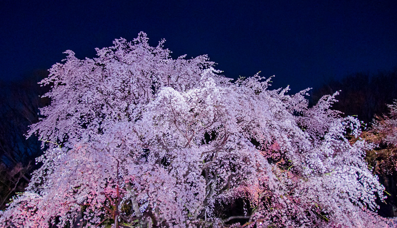 Z`̍CgAbvI喼뉀œ̖\悤I