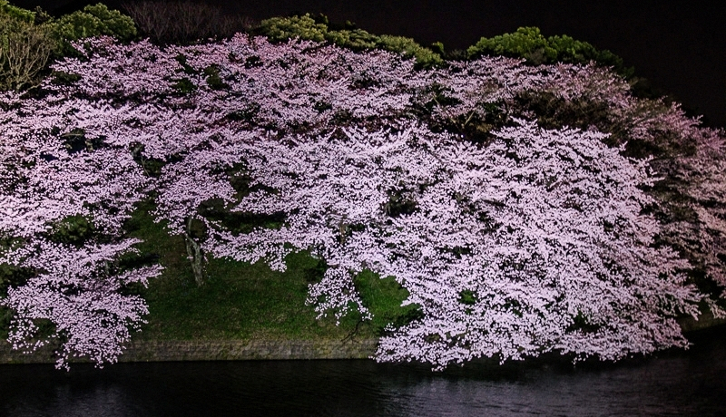 �����u�璹�����v�̍����C�g�A�b�v�������I�s�����w�̖���𖡂킢�s����