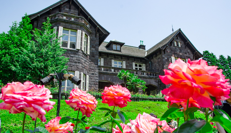 uÉ͒뉀v́go̖hIsŊyމԂƗmق̔I