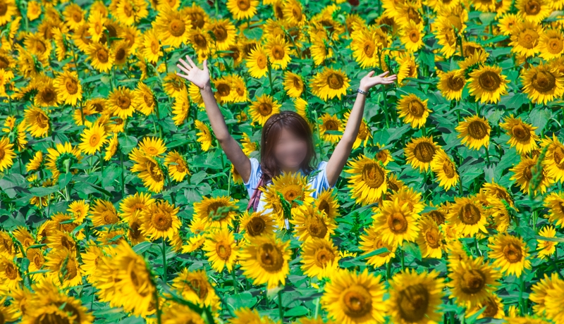 60{̐iIЂ܂蔨iRkmsj͉Ă̂oɒ